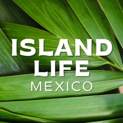 Discover the Best Of Mexico With Island Life Mexico 
What To Do 
Where To Stay
Where To Eat
Find your island adventure at @islandlifeguide