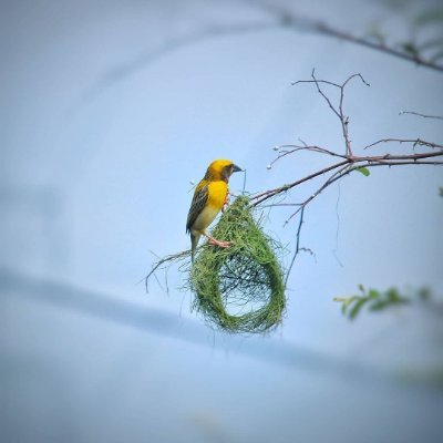 Basanta_Nayak's profile picture. Voracious reader, sports enthusiastic, Physicist by heart.