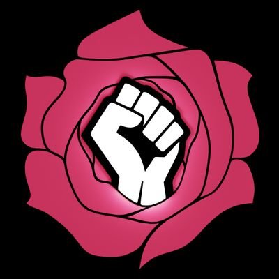 Rose_Harmonic's profile picture. Socialist. Socialism is when businesses are owned and controlled by their workers. Socialism is workplace democracy. Democracy is what I fight for.
