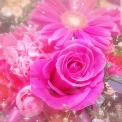 りさぴょんさんのプロフィール画像