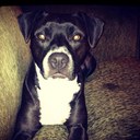 Christina Weaver - @iheartlucylu - Twitter