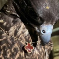 Unmoved (@___iu1) 's Twitter Profile Photo Unmoved (@___iu1) 's Twitter Profile Photo