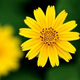 hafid7327827405's profile picture. 