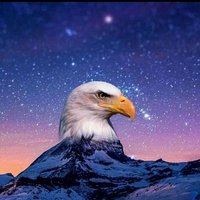 Zhiya David (@zhiyadave1) 's Twitter Profile