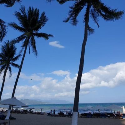 ucgtwi's profile picture. The sun rises in the east and sets in the west.  Also political, Ho Chi Minh City, Việt Nam