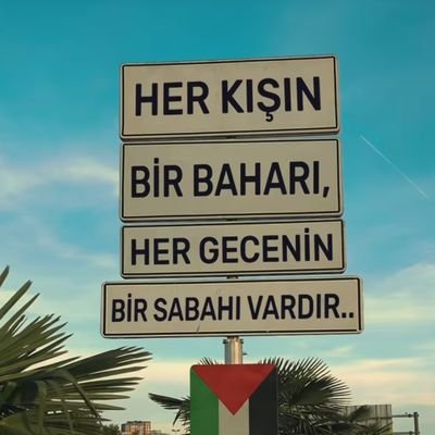 qara60's profile picture. 