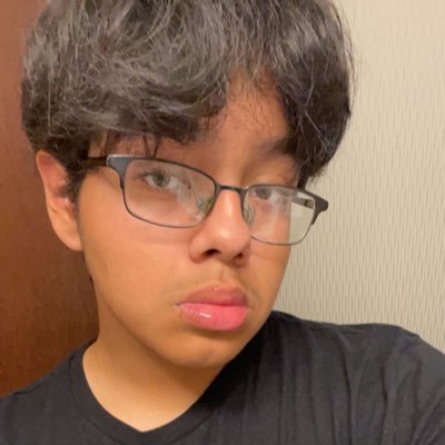 Twitch streamer | Musician | Aspiring Content Creator | I’m just a plain old highschool student trying to have fun and make friends:)