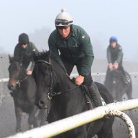 Adam Connolly (@aconnolly199) 's Twitter Profile