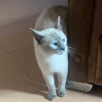 Reda Aol π (@redaaol) 's Twitter Profile