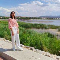 Sedaa (@cngsda) 's Twitter Profile