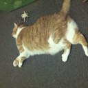 Kasey Comer - @Loyalbeacher - Twitter