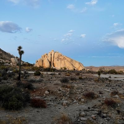 🏡 real estate dvlpmnt in 🌵desert hot springs   🛋️ str+mtr hospitality founder, cozee inc. 🚪 https://t.co/T6JmNNheS5 🎧 Host of Neural Network News podcast