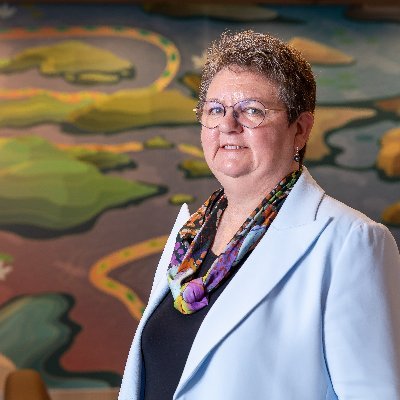 Professor of Mental Health Nursing @RMITUniversity | President @ACMHN | #AskAMentalHealthNurse | #GoKindly | #MentalHealthNursing #DigitalHealth #FirstNations