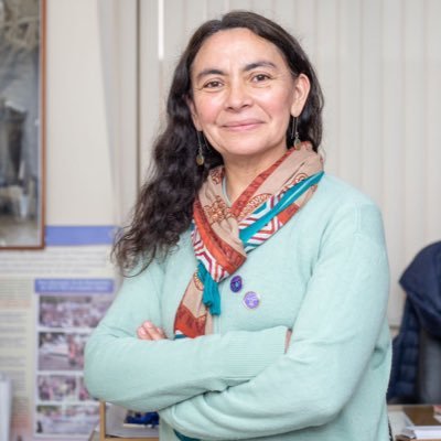 Profesora de Historia Geografía y Cs.Soc en comuna de Buin y Socióloga. Actualmente Sda.Vicepresidenta del Directorio Nacional ColegioProfesor@s #TiempoDeMujer