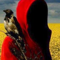 ridvan dedeoglu (@riddonee) 's Twitter Profile