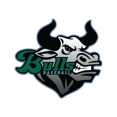 Bulls Baseball vision is to foster an environment of competitive and growth-driven baseball that enables our players to achieve success on and off the field.