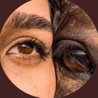 مهاو (@mahaaef) 's Twitter Profile Photo