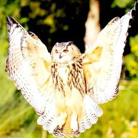 new timeline💫 beautiful pic💖 (@davidso24206464) 's Twitter Profile