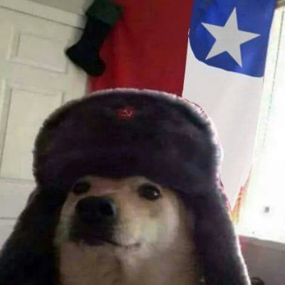 ant031_'s profile picture. 