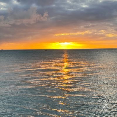 solarweb8's profile picture. 