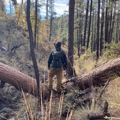 TSpark316's profile picture. 