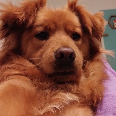 entomobixa's profile picture. Esquecida e sempre perdida :)
Juliana Abud (aka abidu, adib, habib)