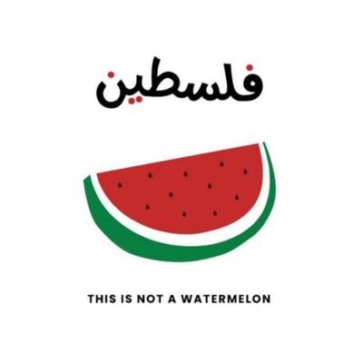 hariimaoo's profile picture. BE FE ML DEVELOPER