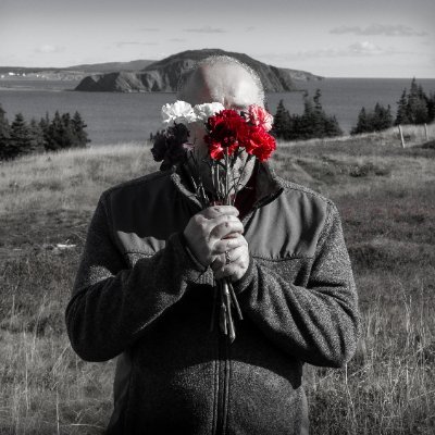 picster55's profile picture. A St. John's-based photographer... an avid but mediocre golfer... and a  big fan of Kurt Vonnegut.