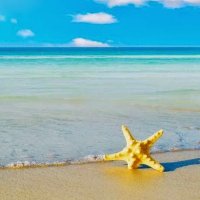 A. Margaret CHUNG (@briconnect) 's Twitter Profile