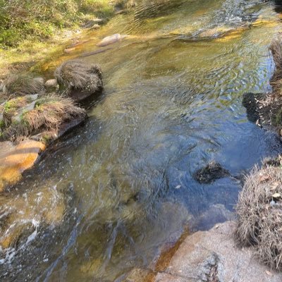 sisisi55453706's profile picture. constantemente aprendiendo