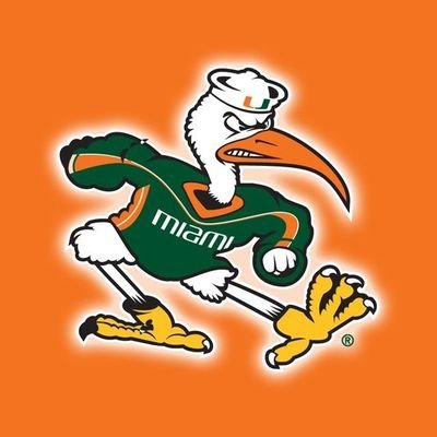 DIEHARD CANES FAN, since 79, longshoremen, broward county since 72/ ⭐⭐⭐⭐⭐ cane fan