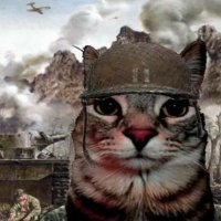 S0ul_Cl3aring (@cringe_10to5) 's Twitter Profile