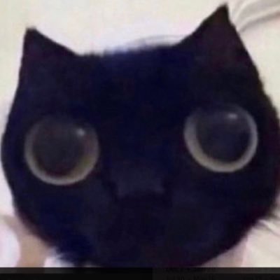 k1ttyc4t141's profile picture. have you ever had a dream that you…you could…and that… you where….you that you….and when….you…are that….and that you could….with that you could do anything! :)