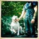 kevin daniel levey - @kevindlevey - Twitter