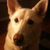 Jason Rajotte (@rajotte98067) Twitter profile photo Jason Rajotte (@rajotte98067) Twitter profile photo