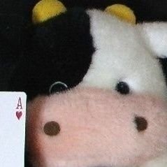 OopsADaisy1991's profile picture. 葵栄治（あおい　えいじ）　　
元プロマジシャン/YouTuber（メインチャンネル登録者数11万人）　
※このアカウントは基本的にタイムラインに流れてきたアイドルの子のツイートを無差別にリツイートしていきます。たまにフォロー、リプやツイートします。宜しくお願い致します。　
※ 天安門事件　くまのプーさん（スパム対策）