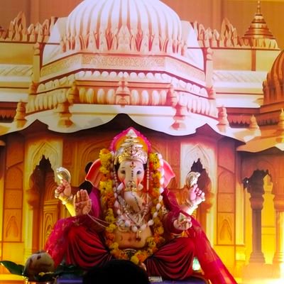 skumawat242's profile picture. DOB- 01 August