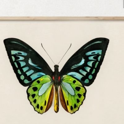 november2408's profile picture. Just breathing