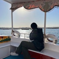 omnia (@omnia_saed) 's Twitter Profile