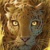 anonehan1951664's profile picture. 