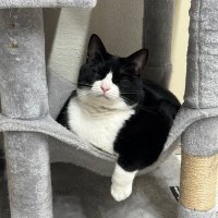 金키코🎉 (@kiko_kim_) 's Twitter Profile Photo