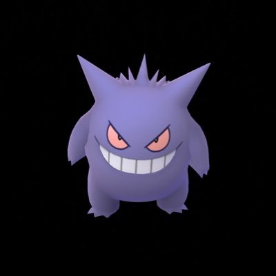 ポケモンGOエンジョイ勢です無言フォロー失礼します🙇きまぐれでポケモン捕まえてますただポケGOを楽しみたい人になります
