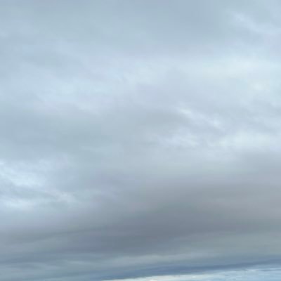 trickmeirelles's profile picture. É sou uma metamorfose ambulante