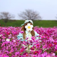 姫花梨@お洋服垢(@sweetS2closet) 's Twitter Profile Photo