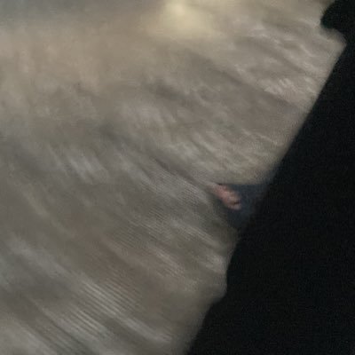 gxmq0ji's profile picture. 