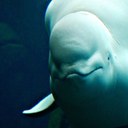 John Tyson - @DrT1973 - Twitter