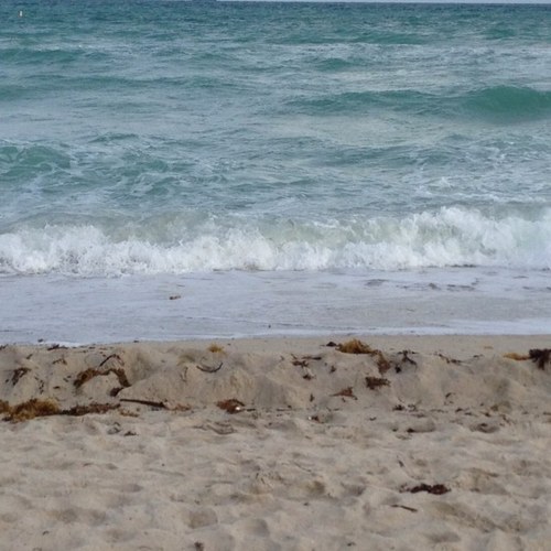 JayFurlan's profile picture. 