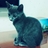 HongJoWorld's profile image