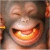 independent webstuff contractor, writer, mensan, liberal, diabetic