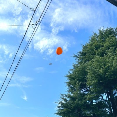 tuneble_suisui's profile picture. 身の丈に合わない暮らしをしたい。犬と生活するのが夢。カルナイが人生。※本垢別にあります